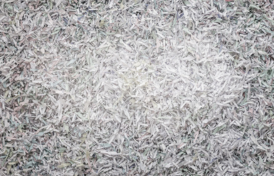 Bizalmas iratok és más adathordozók szakszerű megsemmisítése Bizalmas iratok és más adathordozók szakszerű megsemmisítése